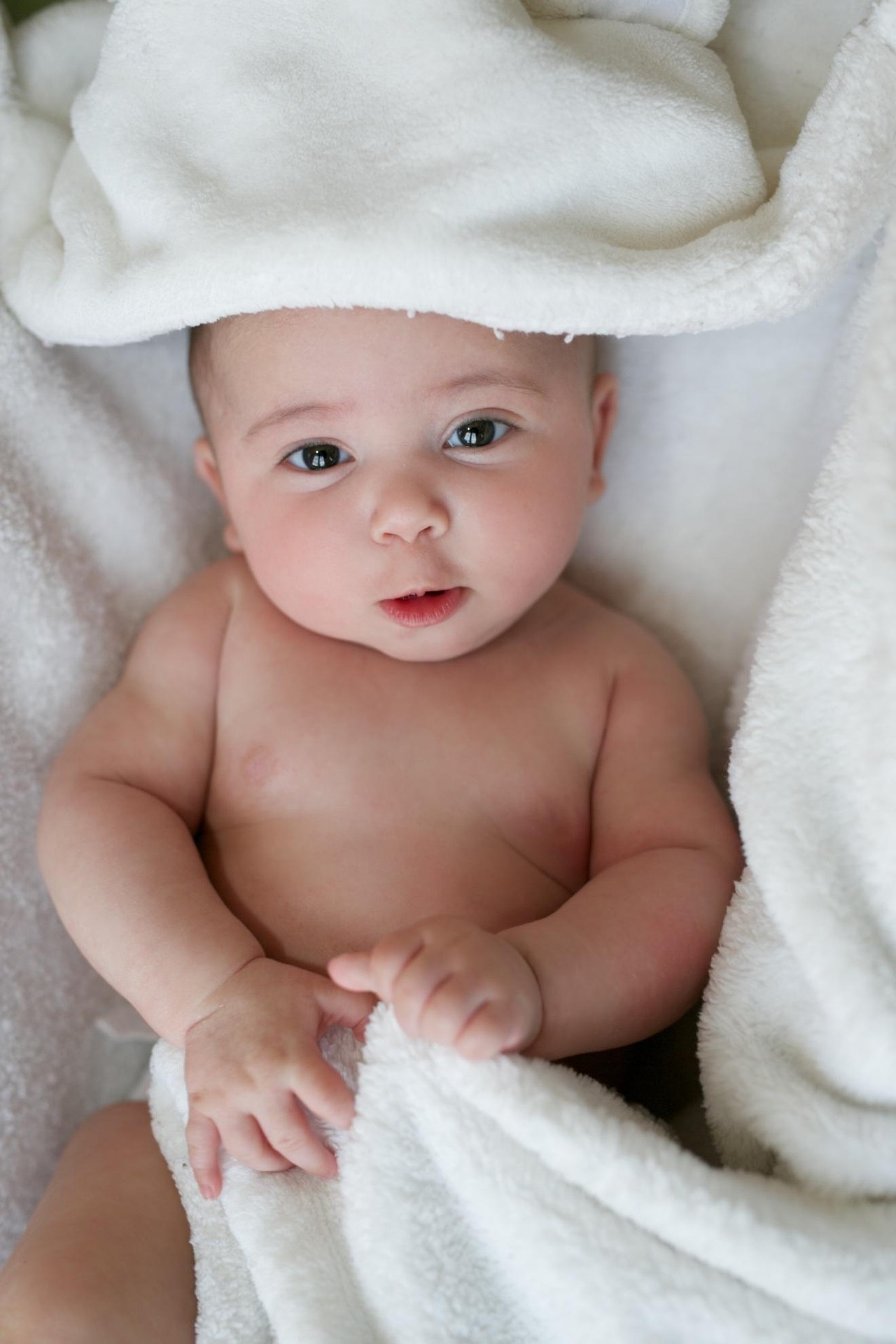 Bebé